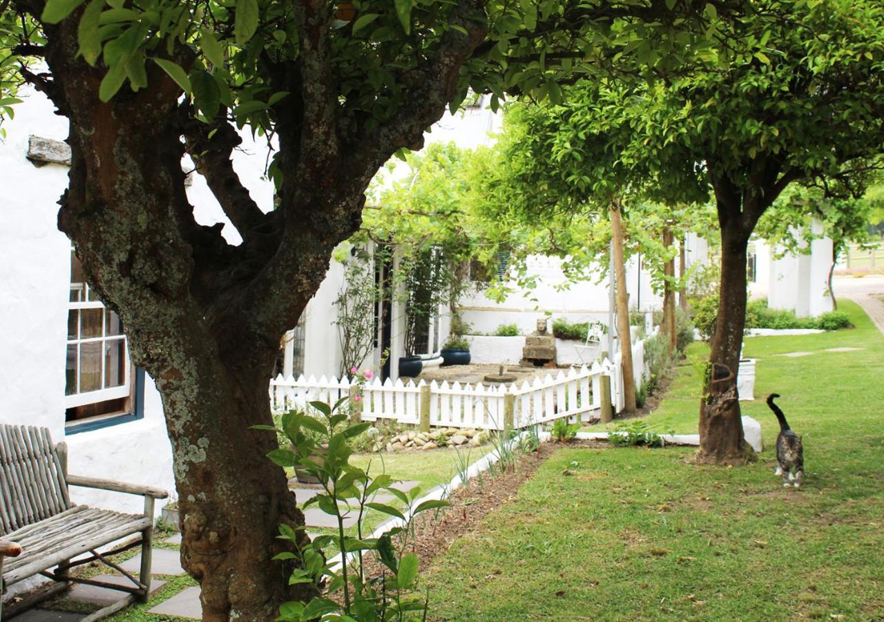Moffid'S Place สเวลเลนดาม ภายนอก รูปภาพ